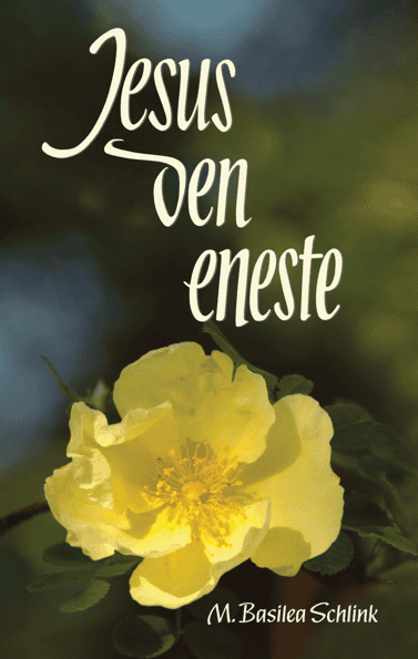 forside Jde skærmfoto